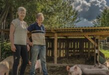 Hållbart odlingskoncept testas i Älvsbyn
