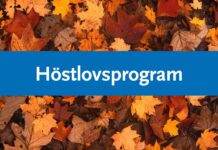 Höstlovsprogram 2025 | Älvsbyns kommun
