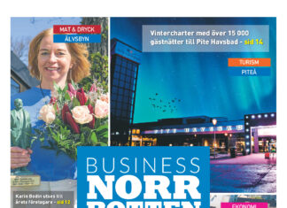 Bilaga Boden Gratistidning – Business Norrbotten (vecka 23, 2023)