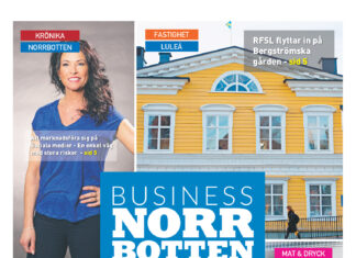 Bilaga Luleå Gratistidning – Business Norrbotten (vecka 23, 2023)