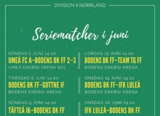 Seriematcher i juni