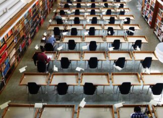 Bodenborna studerar på hemmaplan – här är de populäraste lärosätena