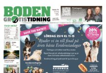 Boden Gratistidning (vecka 16, 2026)