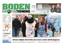 Boden Gratistidning (vecka 36, 2026)