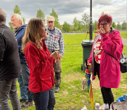 Sommaravslutning med grillfest