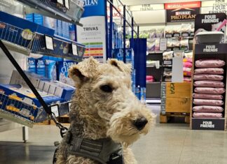 Fredagsfeeling och sötchock