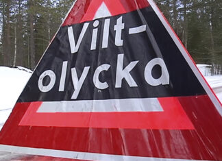Lista: Förra veckans viltolyckor i Boden