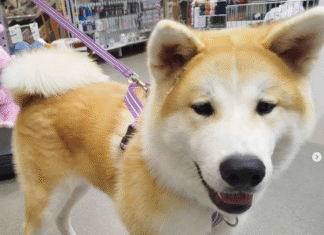 Fredagsfeeling med denna sötchock