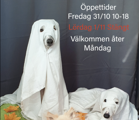 Klar för Halloween