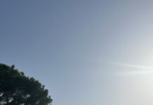 Pinhal