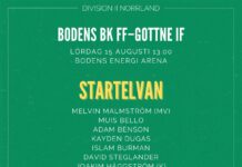 Startelvan mot Gottne IF