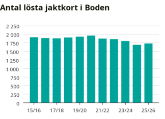Efter flera års nedgång – fler jägare i Boden
