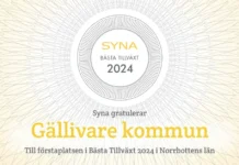 Näringslivet i Gällivare kommun bäst i länet