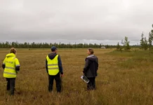 Biologisk mångfald i fokus – Svappavaara har vänt trenden
