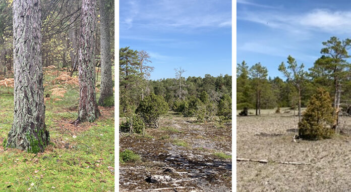 Nya-naturreservat-kollage.jpg