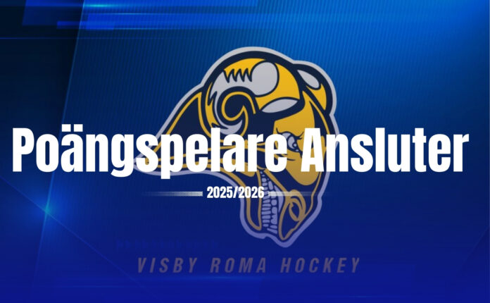 Poangspelare-ansluter.jpg