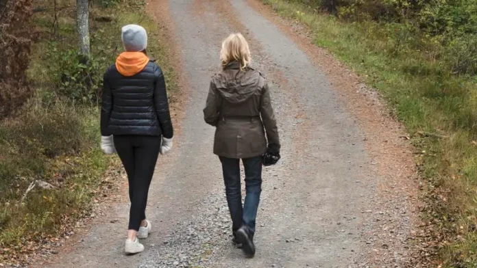mp17794307-hostpromenad.webp.webp