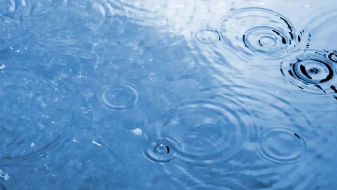 mp1231659-raindrop-water-ripples.webp.webp