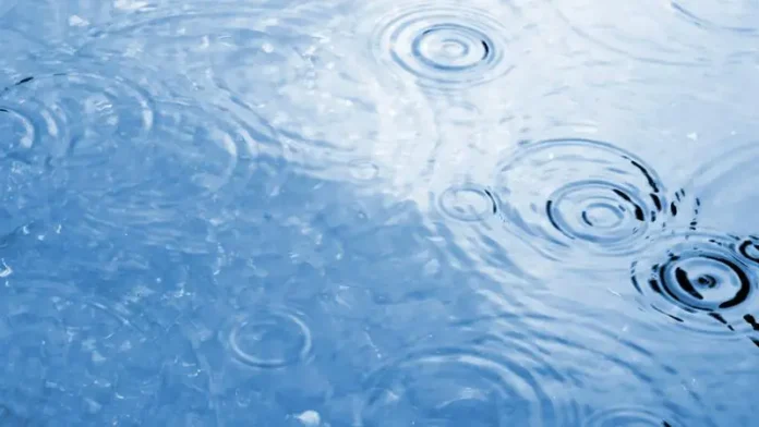 mp1231659-raindrop-water-ripples.webp.webp