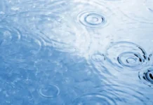 Vattennivåerna liknar förra året – stegvisa åtgärder och bevattningsförbud