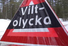 Många viltolyckor i Norrbotten förra veckan