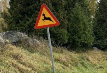 Karta: Förra veckans viltolyckor i Haparanda