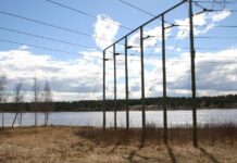 Elen dyr i Haparanda på onsdag – högsta priset på över tre månader