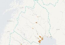 Karta: Här sker viltolyckorna i Norrbotten