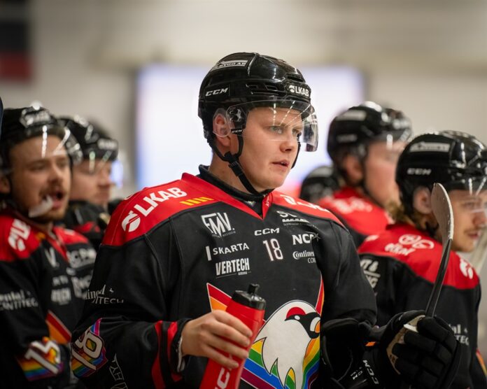 Emil-Pettersson.jpg