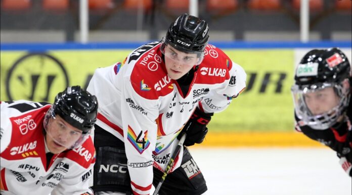 Alexander Rotmalm förlänger sitt kontrakt