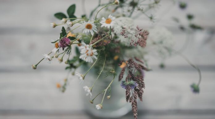 Blir det upppehåll på midsommar? Så ofta har det regnat i Kiruna