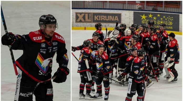 Träningsmatcher 2024