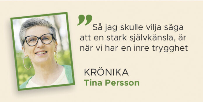 kronika-tinapersson-v40