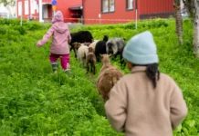 Många samlades för att fira sommarlovsstart i Gruvstadsparken