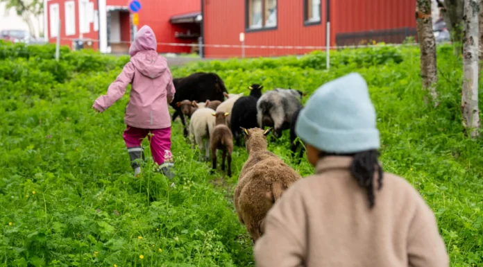 Många samlades för att fira sommarlovsstart i Gruvstadsparken
