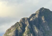 Utflykt till Hemmingsvaer Lofoten