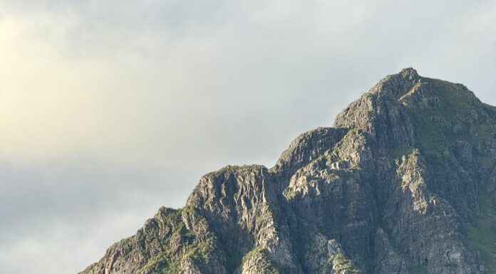 Utflykt till Hemmingsvaer Lofoten
