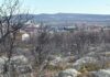 Kiruna