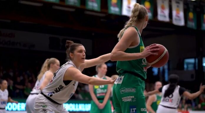 WARRIORS | Luleå Basket