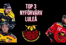 TOP 3 NYFÖRVÄRV LULEÅ HOCKEY | 2023/2024 |
