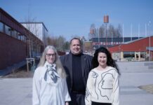 Tyck till om Luleå – undersökning om staden tillbaka