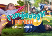 Sökes: Föreningar till Familjedagar i parken