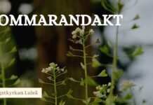 Sommarandakt avsnitt 1