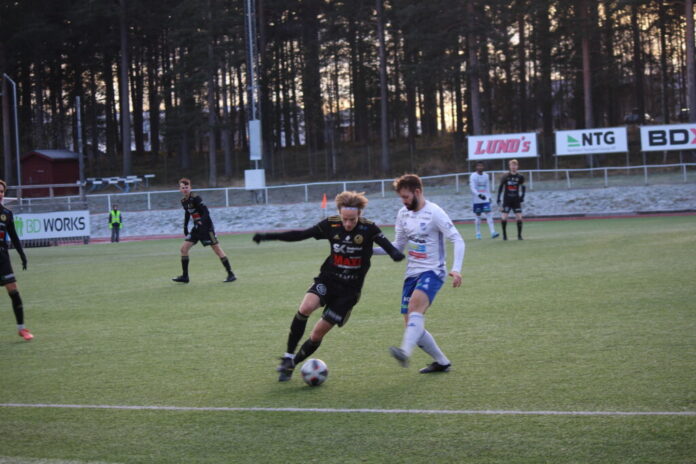 IMG_2566-1024x683.jpg