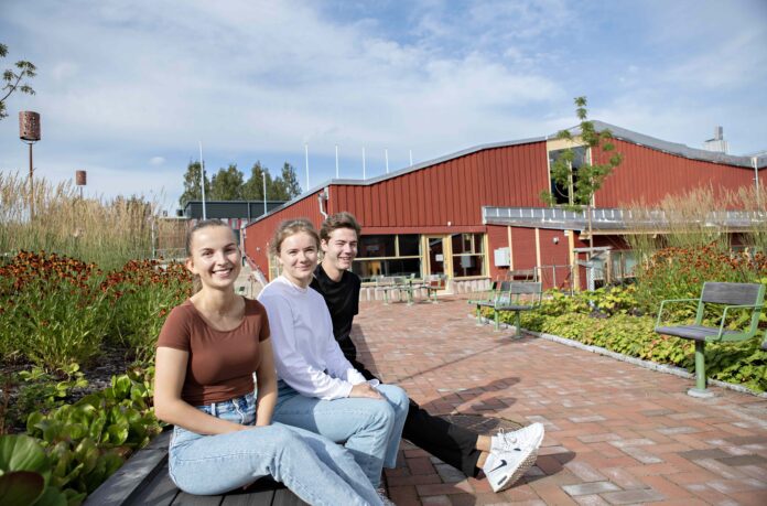 Studenter-LTU-2.jpg