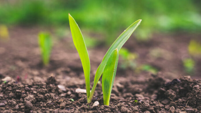 Power2earth14.jpg