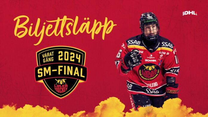 4b3b8ce7-a488-4c70-bdce-1639596a3316biljettslappsdhl201.jpg