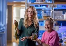 Årets innovatörer förändrar världen med hållbara biomaterial