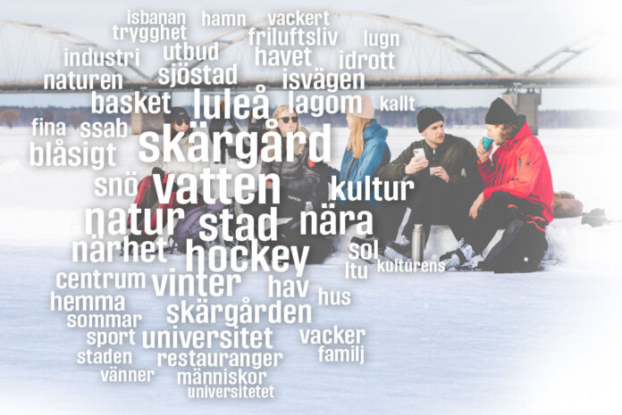 vart_lulea_nr3_2024_tim_foster_undersokning_ordmoln_puffbild.jpg