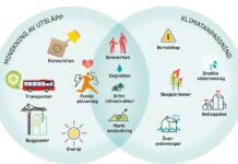 Ny klimatplan för Luleå kommunkoncern upp för politiskt beslut